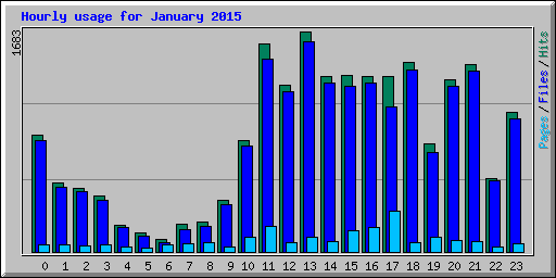 Hourly usage for January 2015