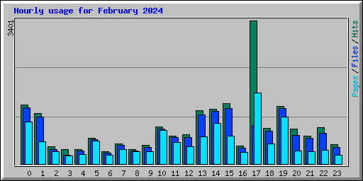 Hourly usage for February 2024