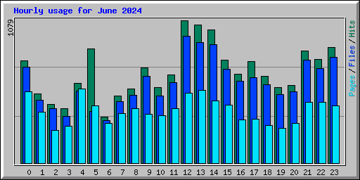 Hourly usage for June 2024