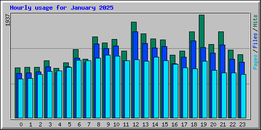 Hourly usage for January 2025