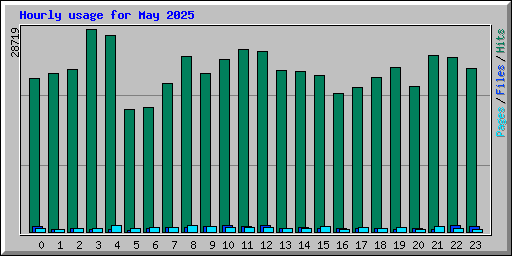 Hourly usage for May 2025