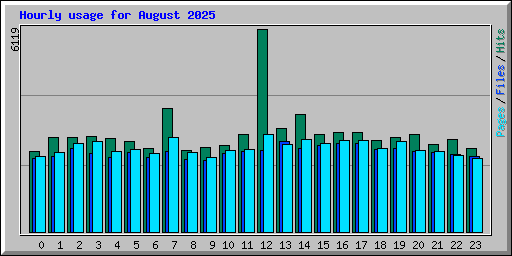 Hourly usage for August 2025