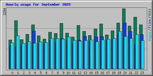 Hourly usage for September 2025