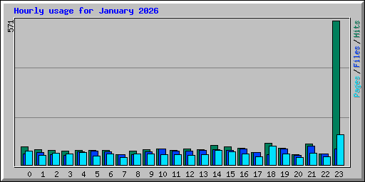 Hourly usage for January 2026